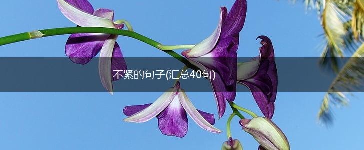 不紧的句子(汇总40句),第1张
