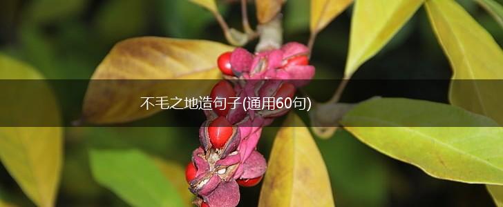 不毛之地造句子(通用60句),第1张