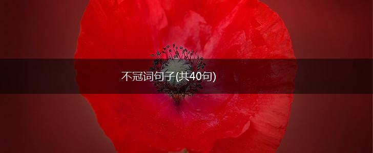 不冠词句子(共40句),第1张