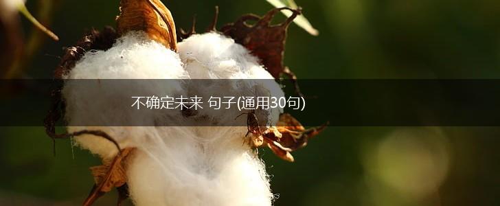 不确定未来 句子(通用30句),第1张 不确定未来 句子(通用30句),第1张