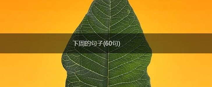 下周的句子(60句),第1张