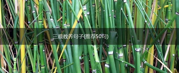 三观教养句子(推荐50句),第1张