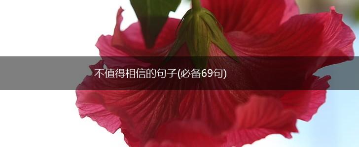 不值得相信的句子(必备69句),第1张