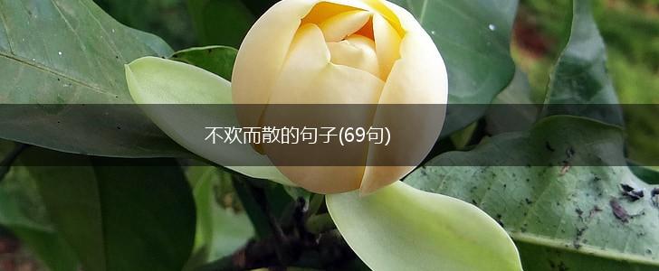 不欢而散的句子(69句),第1张