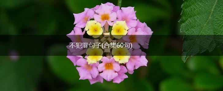 不犯罪句子(合集60句),第1张