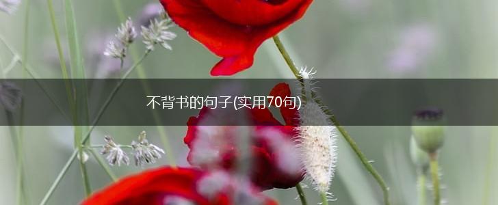 不背书的句子(实用70句),第1张