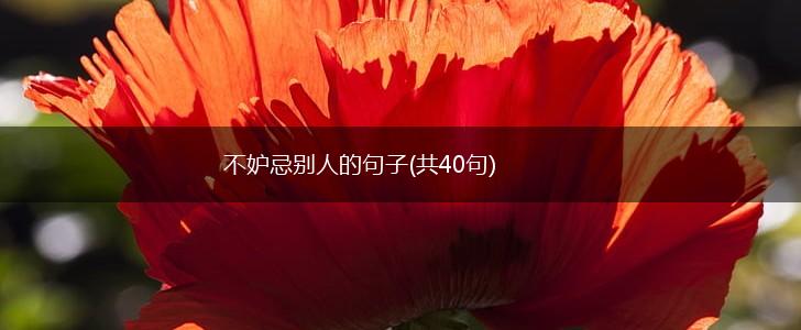 不妒忌别人的句子(共40句),第1张