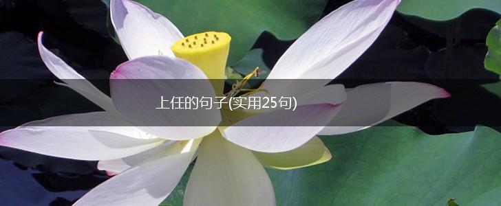 上任的句子(实用25句),第1张