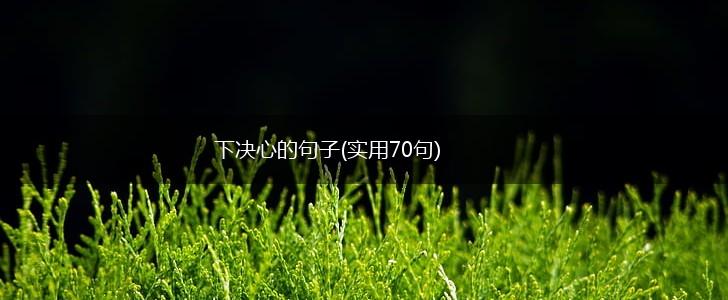 下决心的句子(实用70句),第1张