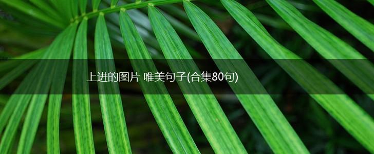 上进的图片 唯美句子(合集80句),第1张
