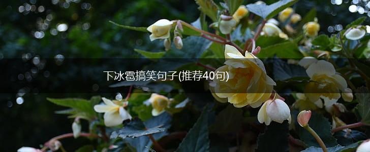 下冰雹搞笑句子(推荐40句),第1张