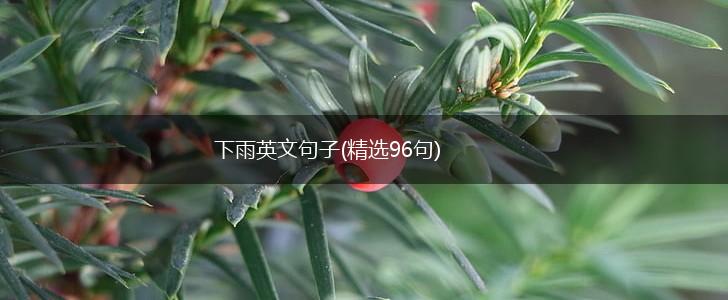 下雨英文句子(精选96句),第1张