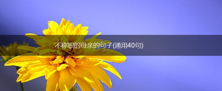 不称职的母亲的句子(通用40句),第1张