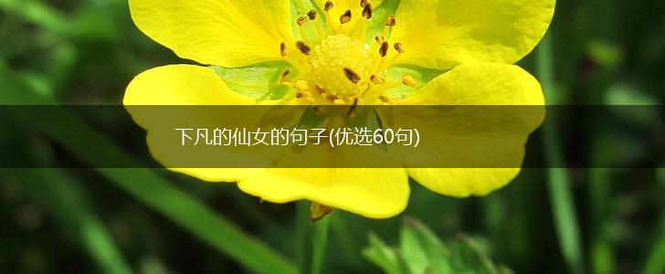 下凡的仙女的句子(优选60句),第1张