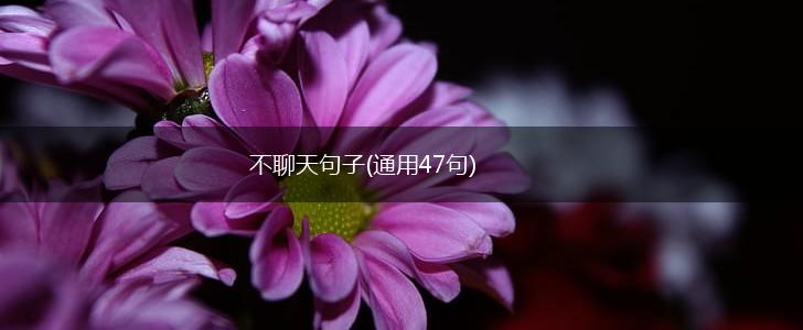 不聊天句子(通用47句),第1张
