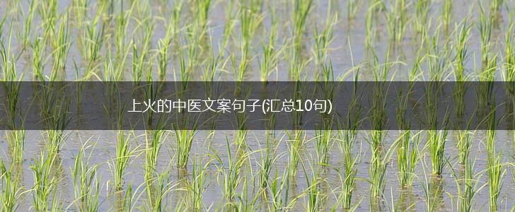 上火的中医文案句子(汇总10句),第1张