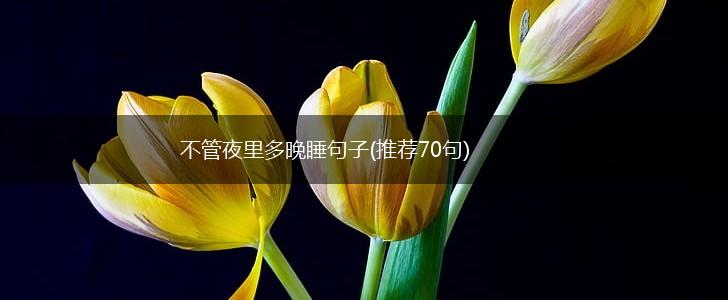不管夜里多晚睡句子(推荐70句),第1张