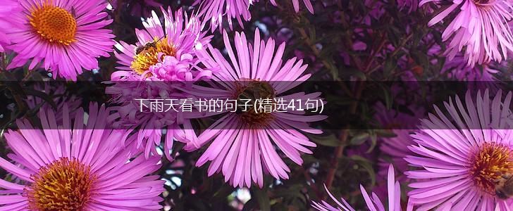 下雨天看书的句子(精选41句),第1张