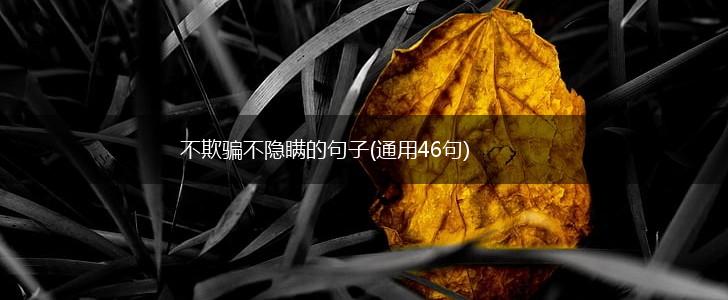 不欺骗不隐瞒的句子(通用46句),第1张
