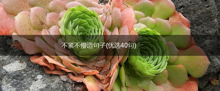 不紧不慢造句子(优选40句),第1张