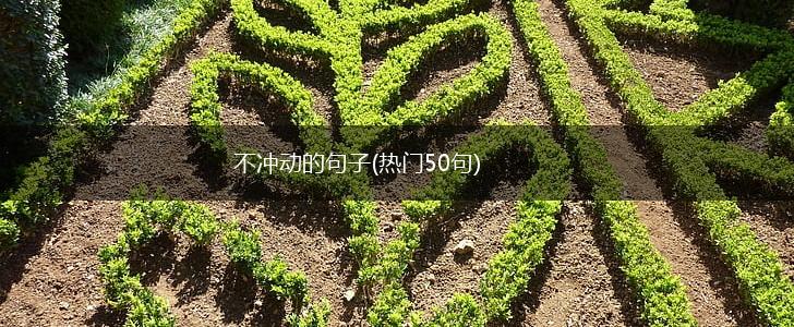 不冲动的句子(热门50句),第1张