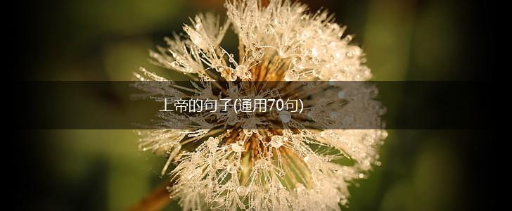 上帝的句子(通用70句),第1张