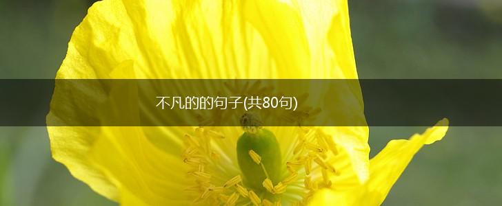 不凡的的句子(共80句),第1张