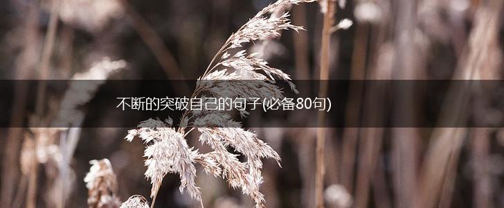 不断的突破自己的句子(必备80句),第1张