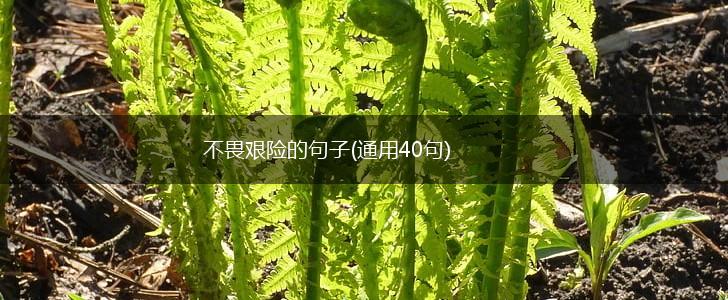 不畏艰险的句子(通用40句),第1张