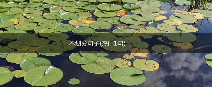不划分句子(热门1句),第1张