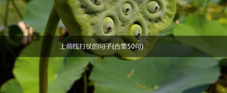上前线打仗的句子(合集50句),第1张
