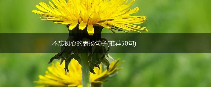不忘初心的表扬句子(推荐50句),第1张