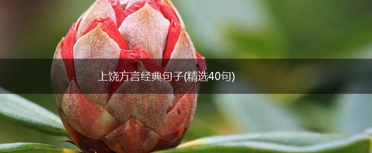 上饶方言经典句子(精选40句),第1张
