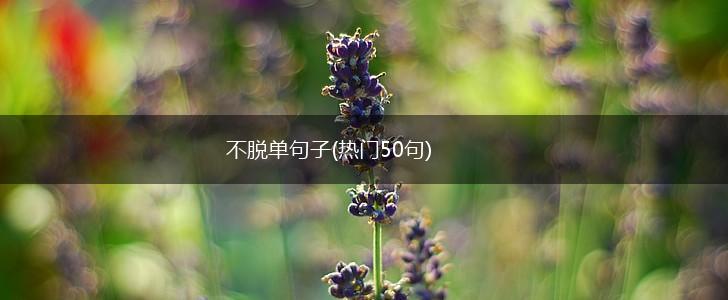 不脱单句子(热门50句),第1张