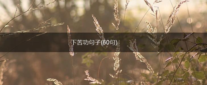 下苦功句子(60句),第1张