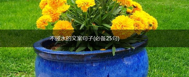 不碰水的文案句子(必备25句),第1张