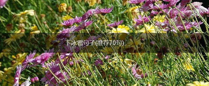 下冰雹句子(推荐70句),第1张