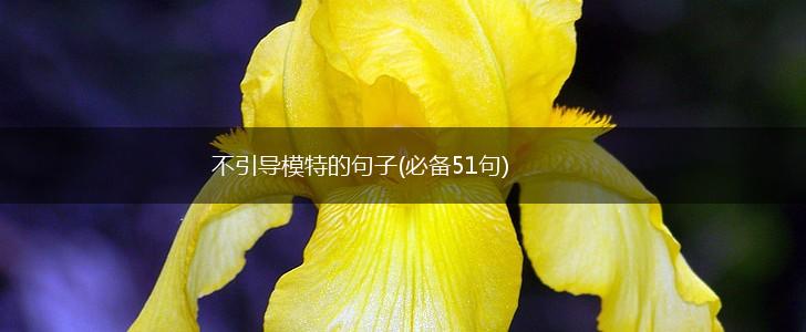 不引导模特的句子(必备51句),第1张