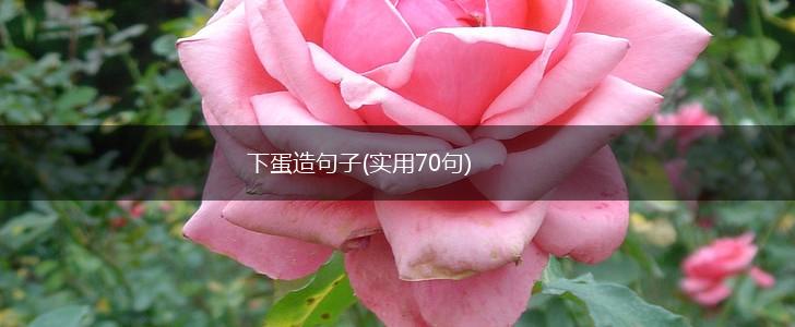 下蛋造句子(实用70句),第1张