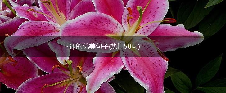 下课的优美句子(热门50句),第1张