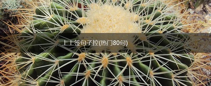 上上签句子控(热门80句),第1张