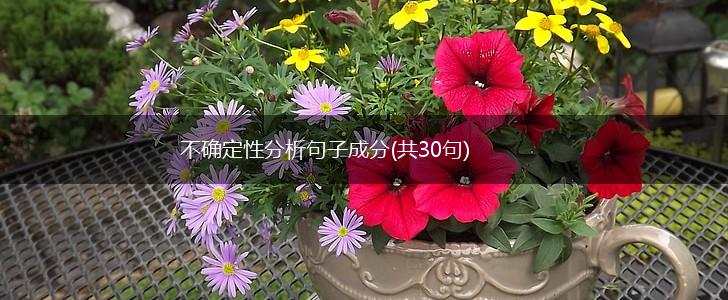 不确定性分析句子成分(共30句),第1张