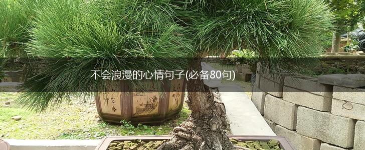 不会浪漫的心情句子(必备80句),第1张