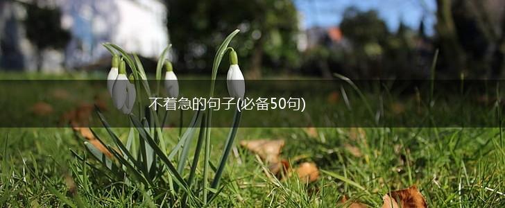 不着急的句子(必备50句),第1张