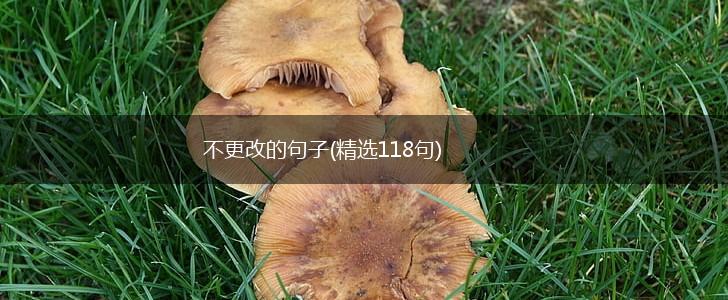 不更改的句子(精选118句),第1张