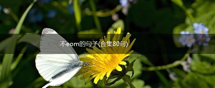 不eom的句子(合集80句),第1张