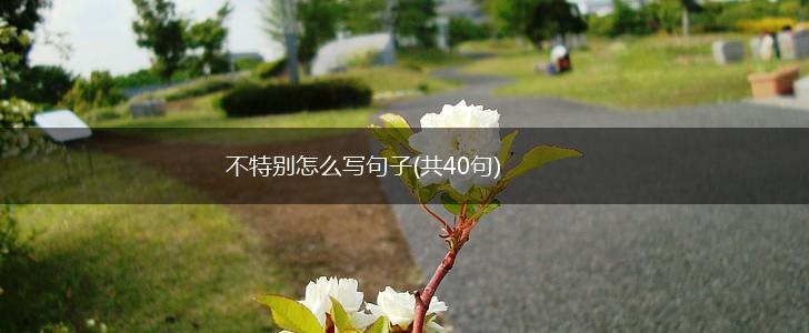 不特别怎么写句子(共40句),第1张
