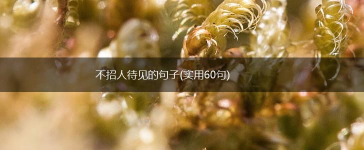 不招人待见的句子(实用60句),第1张