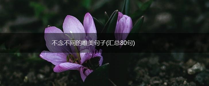 不念不问的唯美句子(汇总80句),第1张