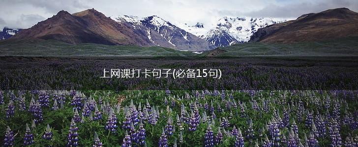 上网课打卡句子(必备15句),第1张
